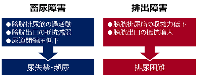 排尿障害イメージ
